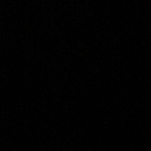 Meet your Posher, Bella